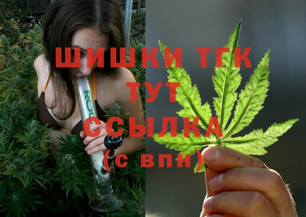spice Покачи