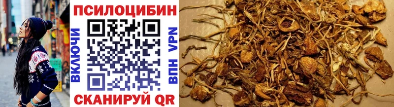 Псилоцибиновые грибы GOLDEN TEACHER  Пустошка 